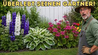 10 Stauden, die länger leben als ihr Gärtner