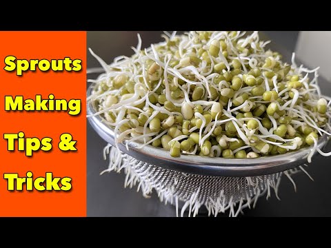 మొలకలు చెయ్యడం చాలా సింపుల్ || Making Sprouts || Mung Bean Sprouts || Healthy Recipes