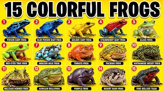 15 Most Colorful Frogs You Won’t Believe Exist 🐸