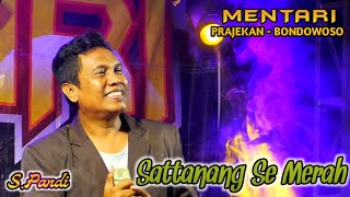 SATTANANG SE MERAH || S.Pandi