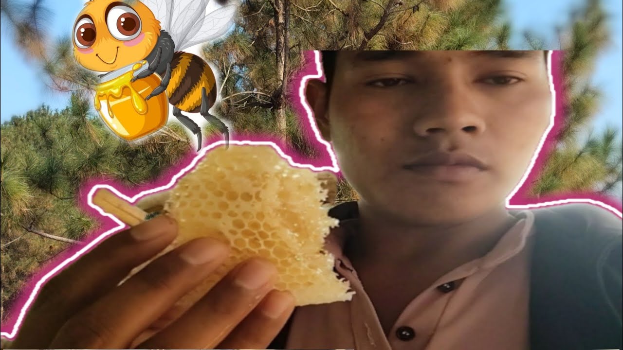 Ka rukom ot ngap ka ba suk bha sha bhoi