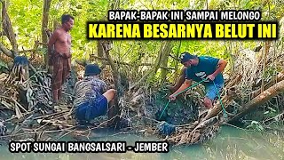 ASLI BESAR !!! Bapak Ini Keheranan Setelah Belut Besar Disungai Sebelah Rumahnya Tertangkap | Part 1