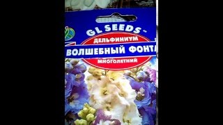 Открываем семена дельфиниума фирмы GL Seeds