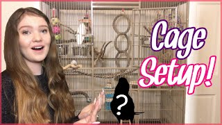 How to Set Up Your Parrot’s Cage! | Bird Cage Setup
