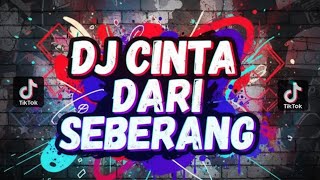 DJ - CINTA DARI SEBERANG #inidjmalingpink #djtiktok #djslowbass #djviral2025 #djfyptiktok