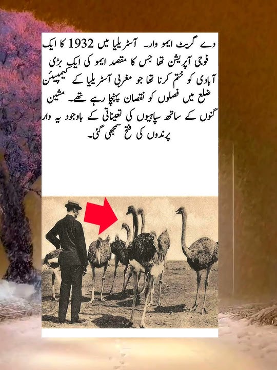 Who will like history | #history #Facts #shortsVideo #viralshorts