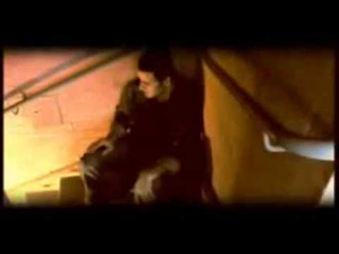 Dldari Bo Kwri Hazhr Har Xafta Ardalan