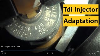CR Tdi injector adaptation