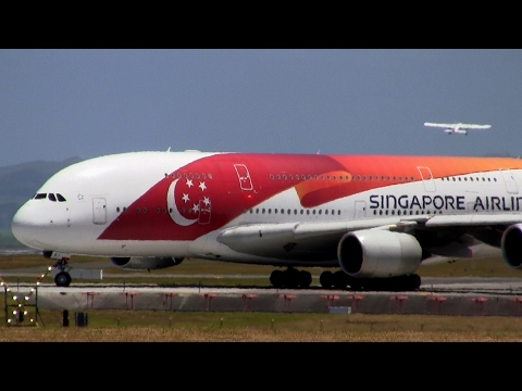 エアバス A380-800 ラグビー ワールドカップ 2019 Emirates Airbus A380 🇫🇷 Paris CDG ✈️ Dubaï DXB