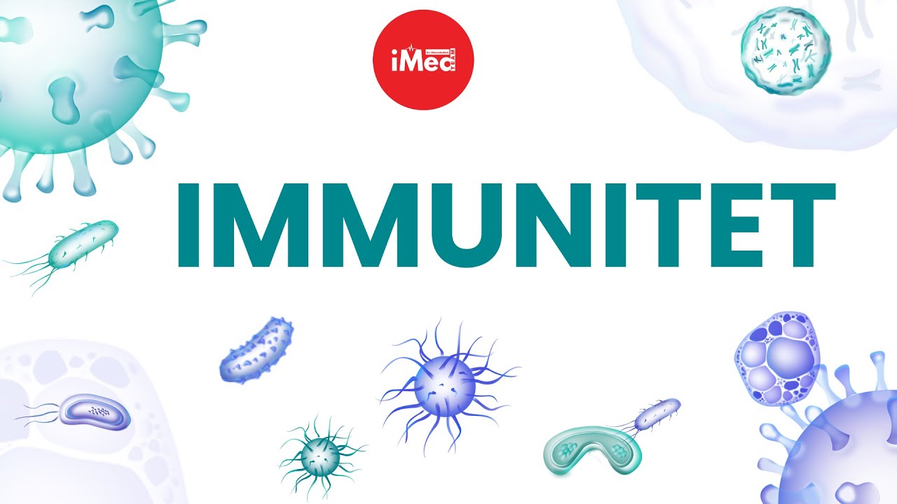 Immun tizim komponentlari. Hujayraviy va gumoral immunitet | #imed #imedteam #infeksiya