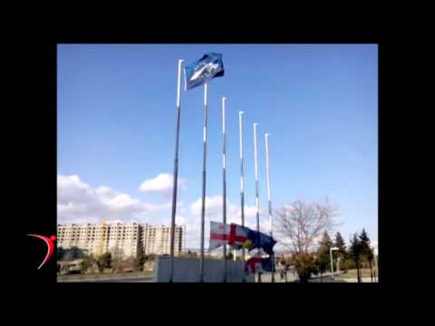 დაშვებული დროშები ერთიანი ნაციონალური მოძრაობის ცენტრალურ ოფისთან