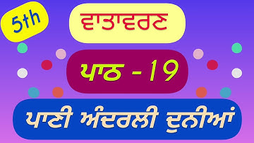 5th class EVS | Lesson 19 | Question Answer