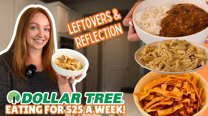 Eating For $25 For a Week From Dollar Tree! Final Thoughts After a Full Week of Budget Meals
