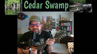 Cedar Swamp