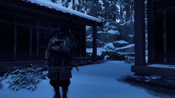 Ghost of Tsushima AFK bird animation