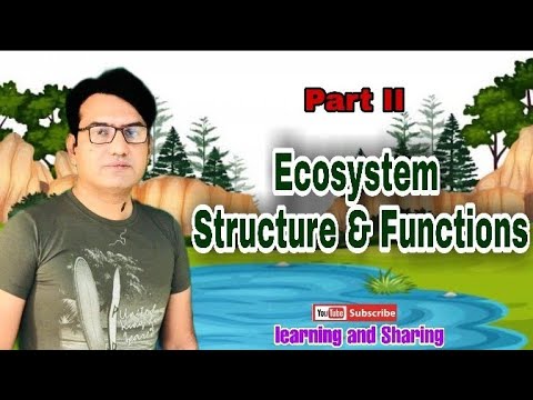 Ecosystem: Structure and Functions