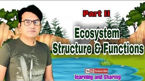Ecosystem: Structure and Functions