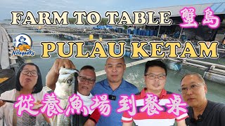 Pulau Ketam fish farm tour | 从养鱼场到餐桌 | FROM FARM TO TABLE | DTS GROUP | FISH PROCESSING | NELAYANKU