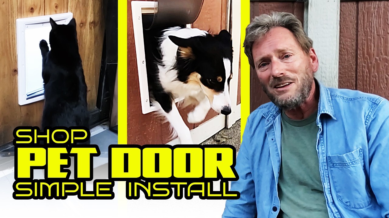 The Easiest Way to Install a Pet Door in Your Shop!