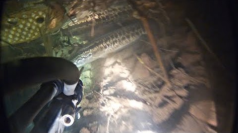 Lặn suối bắn cá đêm | bắt cá suối bằng súng tự chế của người vùng cao || thợ lặn suối p26