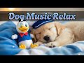 Расслабляющая музыка для сна собак 🎶 Спокойные мелодии для счастья и здоровья питомца 🐾💤