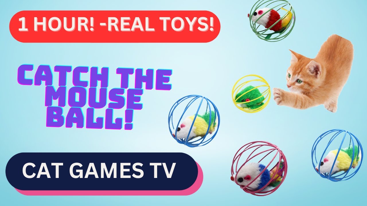 Cat TV Balls Mouse Games For Cats 1 Hour Cat TV with Cat Bell Sounds 🐱