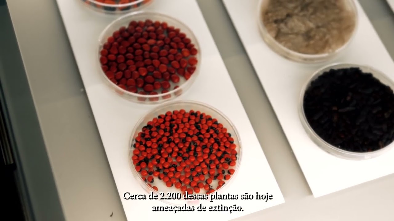 O Museu do Jardim Botânico