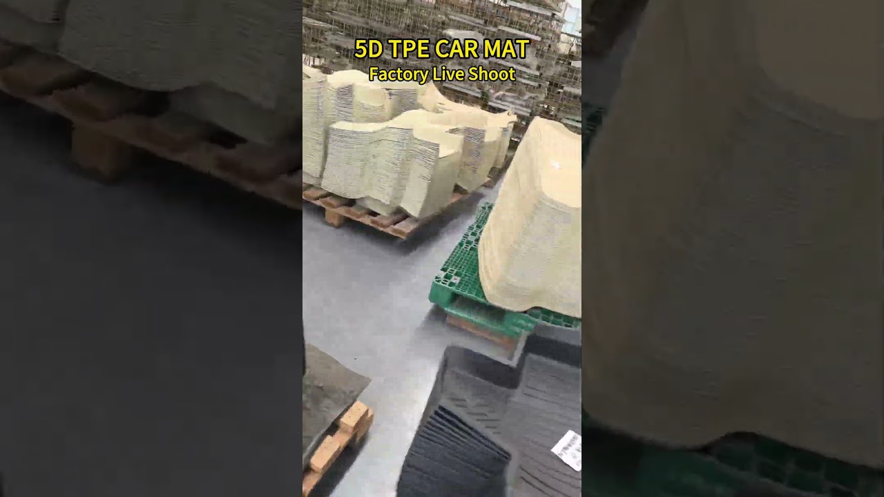 Why Our 5D TPE Car Mats Are The Best? See Factory Production! 