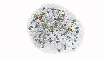 Visualization of structural network analysis