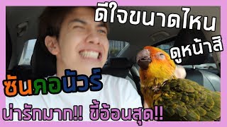 พา นกซันคอนัวร์ ตัวใหม่เข้าบ้าน น่ารักมาก!! ขี้อ้อนสุด!! | Zellfie