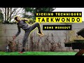Train at home - Tutorial 2 : Taekwondo kicking techniques with Jaouad Achab