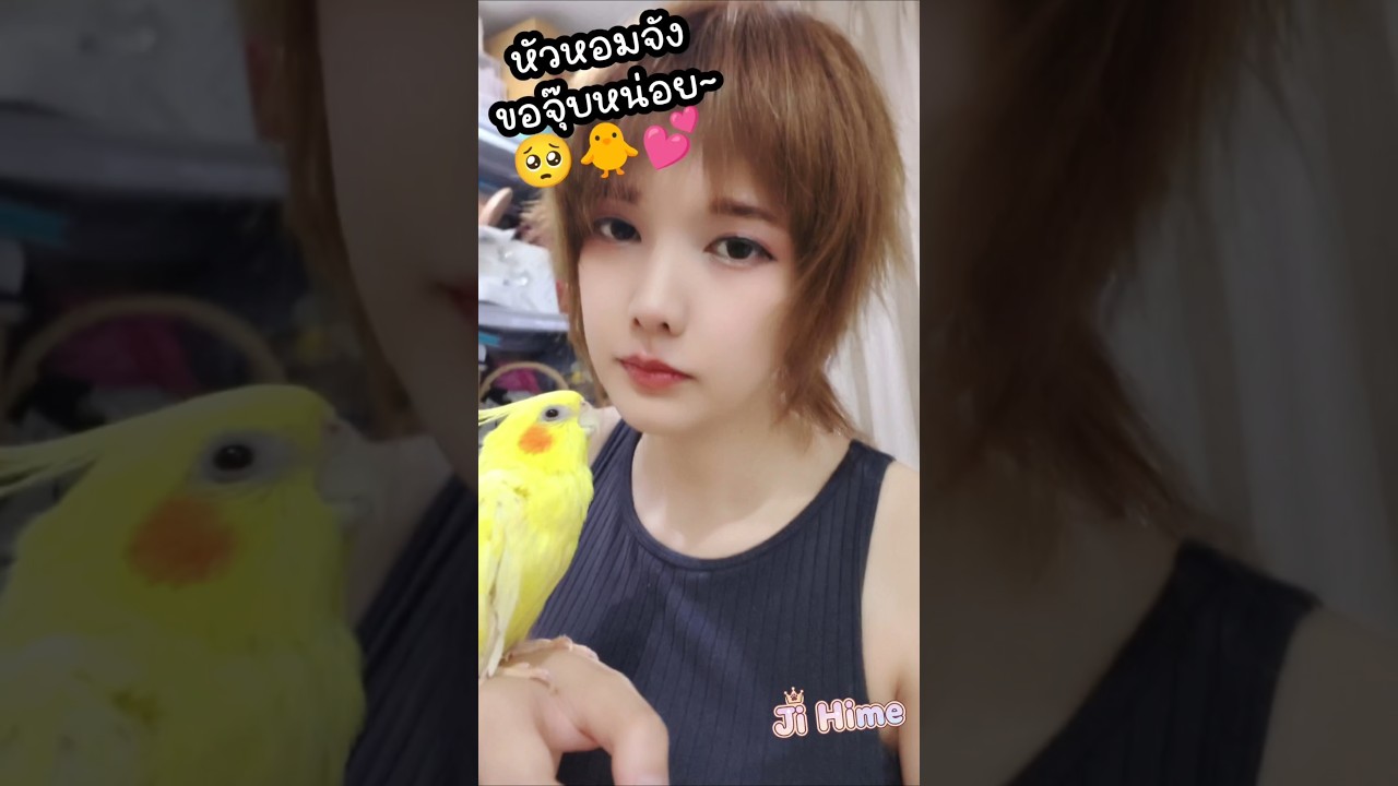 หัวหอมจัง ขอจุ๊บหน่อย~🥺🐥💕 #jihime #paimonbirb #cutegirl