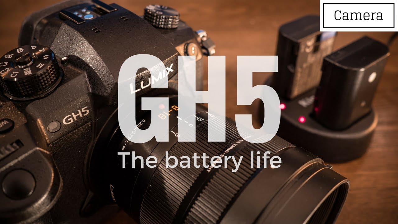 美品 ショット数172回 LUMIX GH5 バッテリー2個充電器 batteryginnkouhkr_dmw-blk22-b-1