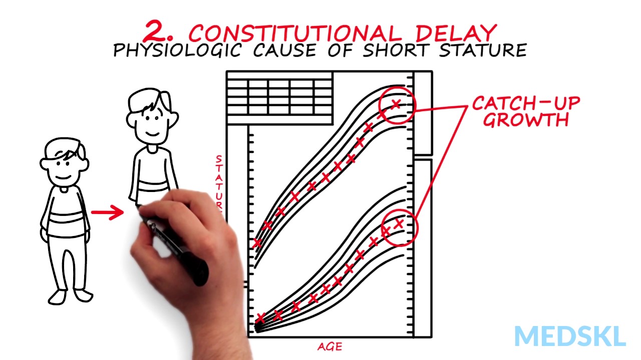 Late Bloomer Growth Chart