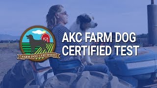AKC Farm Dog Certified Test