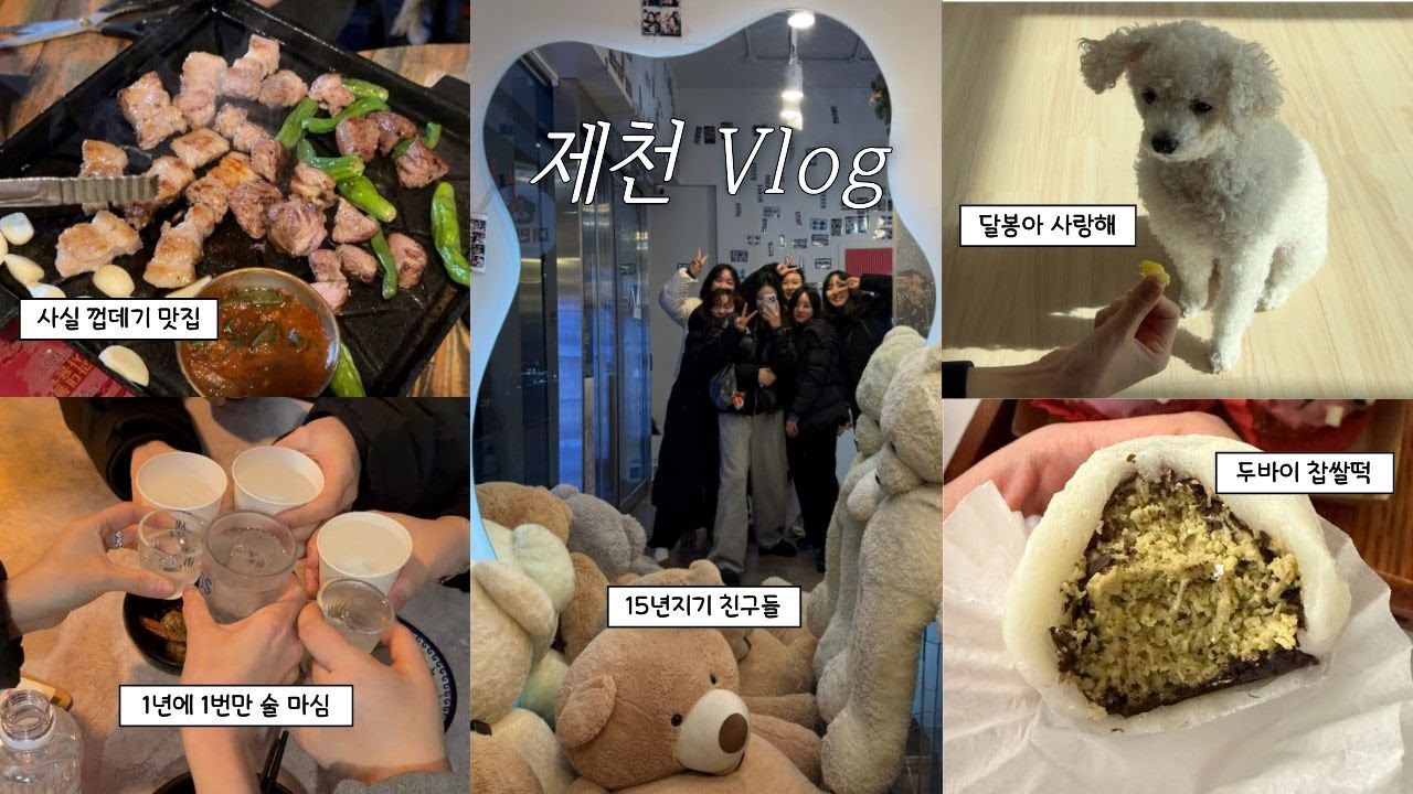 제천 Vlog | 15년지기 친구들 💗| 동기사랑 나라사랑(?) | 임산부가 둘 🤰🏻 | 슈퍼문 뜨던 날🌝 | 두바이 찹쌀떡 💚