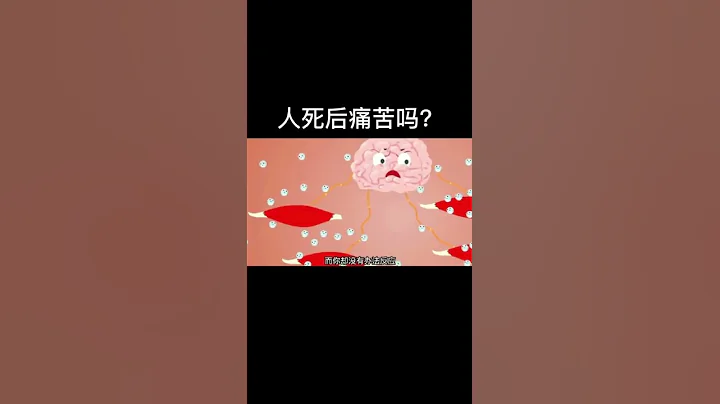人死后痛苦吗？人死后到底会经历什么？身体会发生什么变化？ - 天天要闻