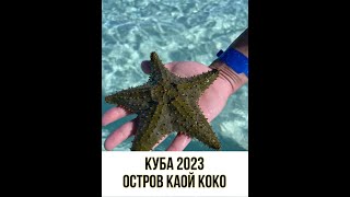 Куба 2023. Остров Каой - Коко. Отель WOOVO PLAYA HERMOSA CAYO PAREDON RESORT 5*