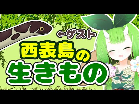 西表島の生きもの話し！【生きもの語らナイト！】【ゲスト：まっつんさん】