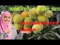 Golden mango in dubai abudhabifood arabianfood dubaifood uaefood