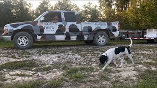 Garbage Feeding With The Hogman