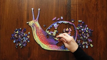 Puzzle Speed Solve! - 4K Snail Puzzle