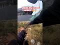 Sakamoto Power Full Dog Catching City #dog #streetdogrevival #ytviral #ytshorts #catch