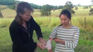 Comfrey Uses & Comfrey Poultice Demonstration