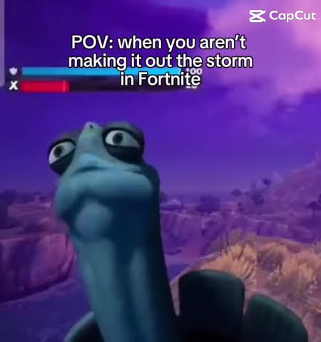 Go on without me brother #meme #Fortnite #fyp #foryou #funny - YouTube