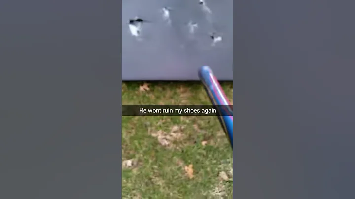 Dad ruins jordans...son destroys his tv