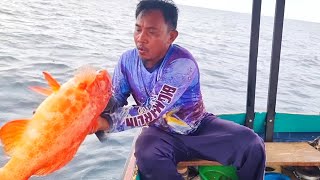 Until a depth of 75 meters, the large fish also went berserk