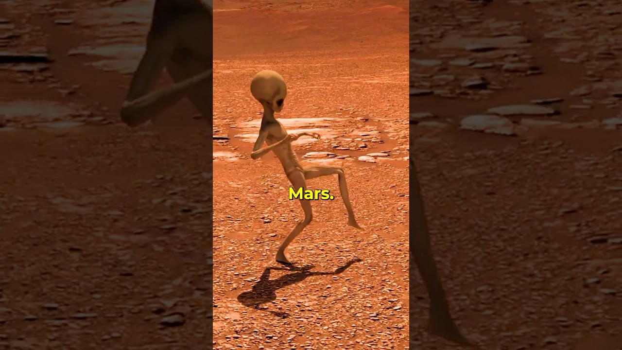 Proof of Life on Mars 😲