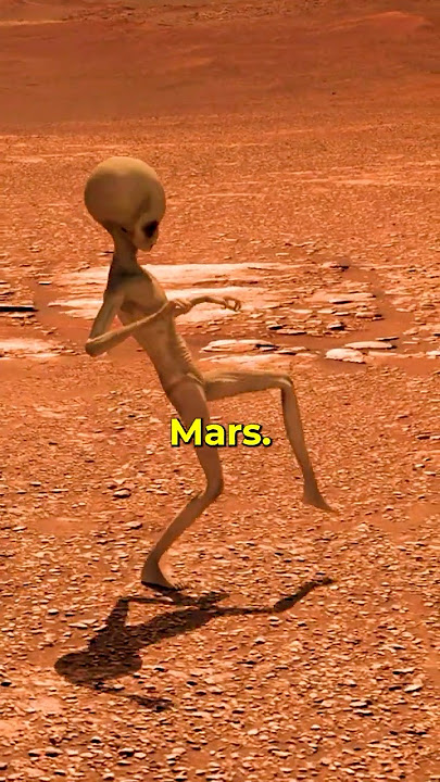 Proof of Life on Mars 😲