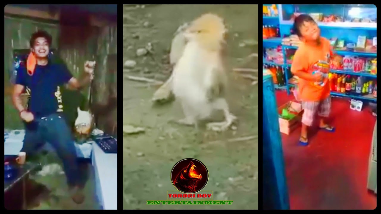 FUNNY DISCO - YouTube